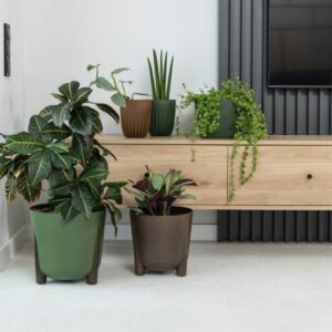 Macetero Modelo Frida Marrón