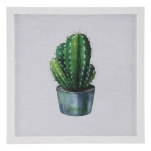 Cuadro Impresión Cactus
