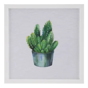 Cuadro Impresión Cactus