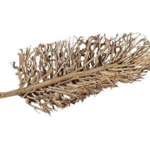 Hoja Decorativa Centro