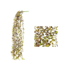 Eucaliptus Colgante Otoñal