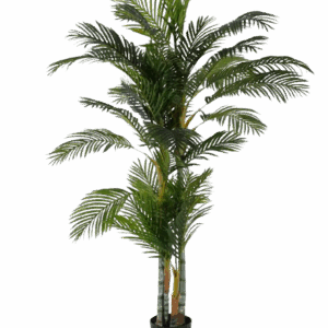 Planta Areca Palmera Verde