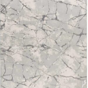 Alfombra Oris Plata 192x290