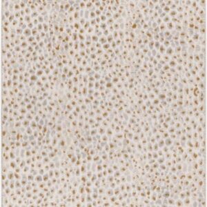 Alfombra Amara Plata 200x290