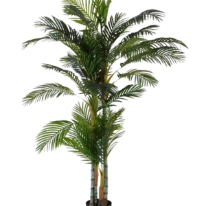 Planta Areca Palmera Verde 100x130x210cm