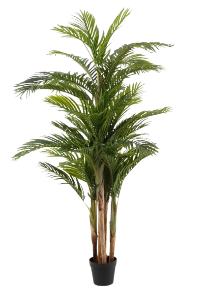 Planta Areca Verde Artificial 189cm