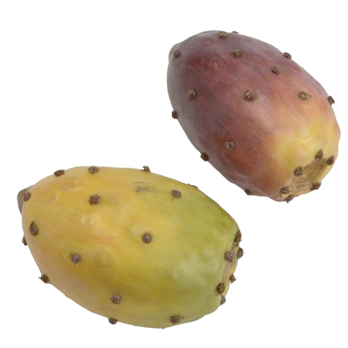Higos Chumbos