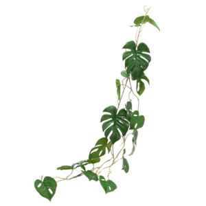 Guirnalda Monstera