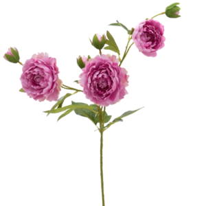Peonia Artificial