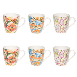 Set 6 Tazas Salvador 23cl