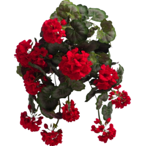 Geranio Artificial