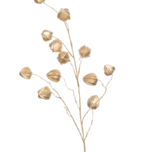 Tallo Decorativo