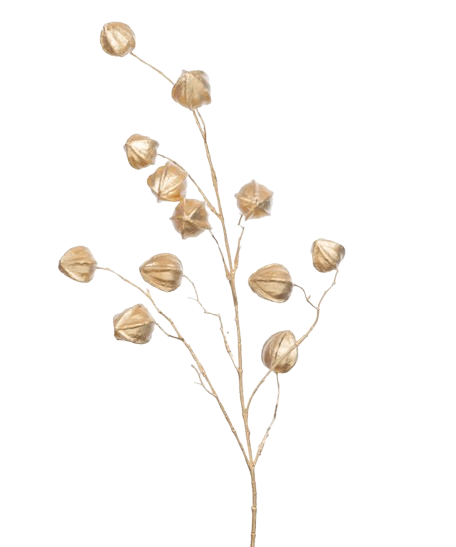 Tallo Decorativo