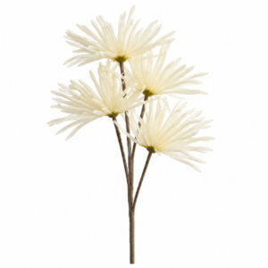 Flor Rejilla Crema 90cm
